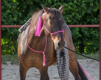 2-13JUIN 0046